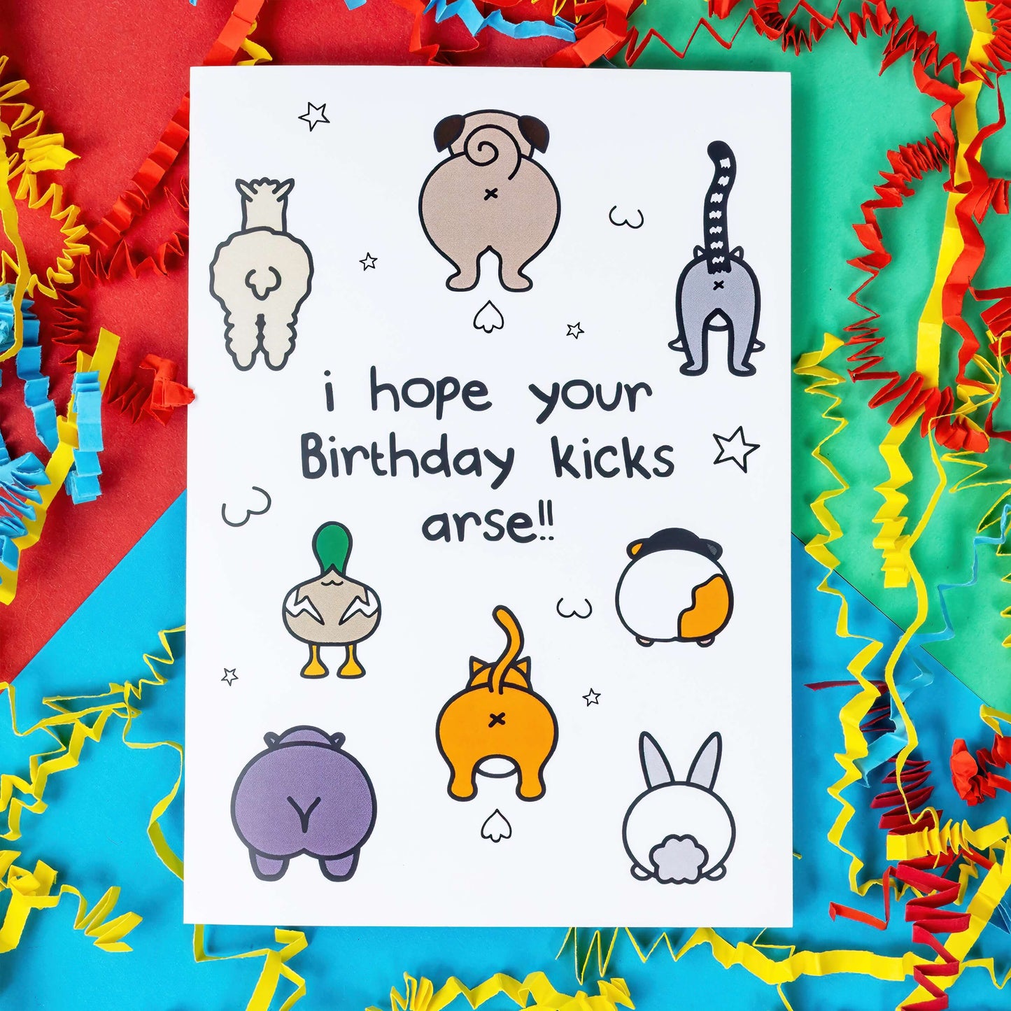 The I Hope Your Birthday Kicks Arse Card on red, blue and green card with red, yellow and blue crinkle card. The a6 white cheeky birthday card with various animal illustrations with their backs to the cameras showing their bums. 'I hope your Birthday kicks arse!!' is written in black on the card.