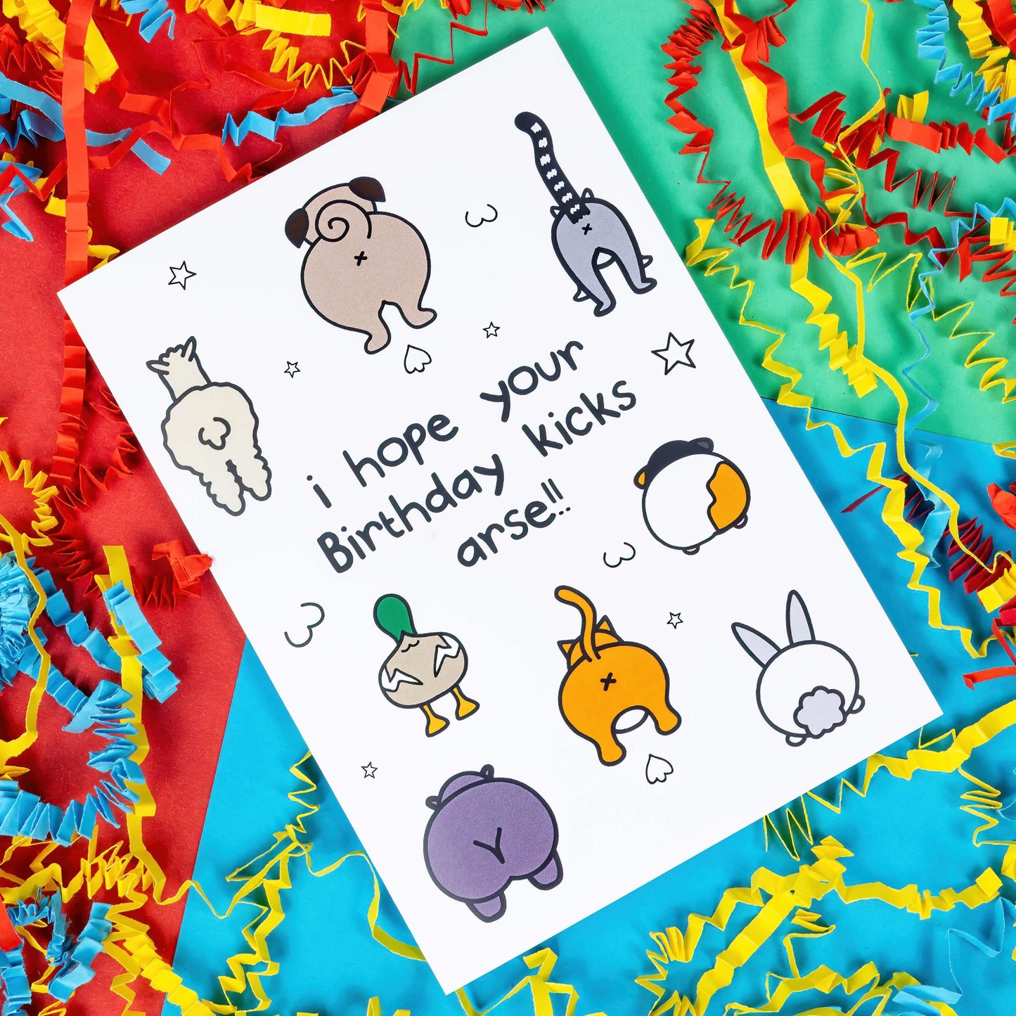 The I Hope Your Birthday Kicks Arse Card on red, blue and green card with red, yellow and blue crinkle card. The a6 white cheeky birthday card with various animal illustrations with their backs to the cameras showing their bums. 'I hope your Birthday kicks arse!!' is written in black on the card.