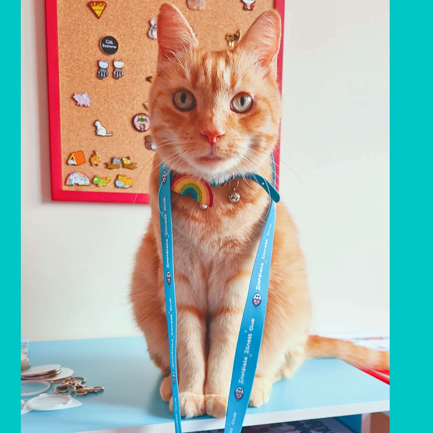 The Invisible Illness Club Lanyard being modelled by Nikky's orange cat. The pastel blue lanyard has repeating white text reading 'invisible illness club' and innabox pastel ghost logo. It has a silver lobster clip and white safety break. The hand drawn design is raising awareness for hidden disabilities.