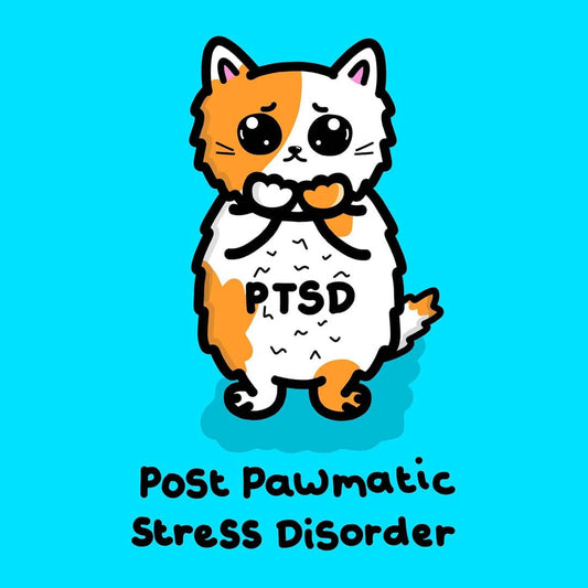 The PTSD Cat Enamel Pin - Post-Traumatic Stress Disorder on a red and blue background. An orange and white scared cat with black text across its belly reading 'PTSD'. The hand drawn design is raising awareness for post traumatic stress disorder.