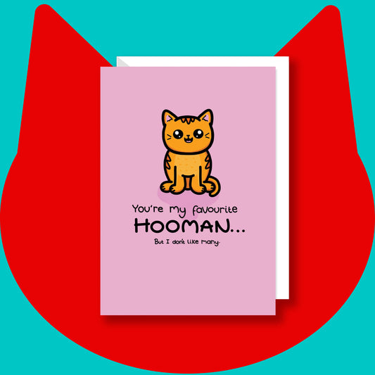 The You're My Favourite Hooman Cat Card on a red and blue background. The pastel pink a6 card with a white envelope underneath has a smiling ginger cat sat down with black text underneath reading 'you're my favourite hooman... but I don't like many.'