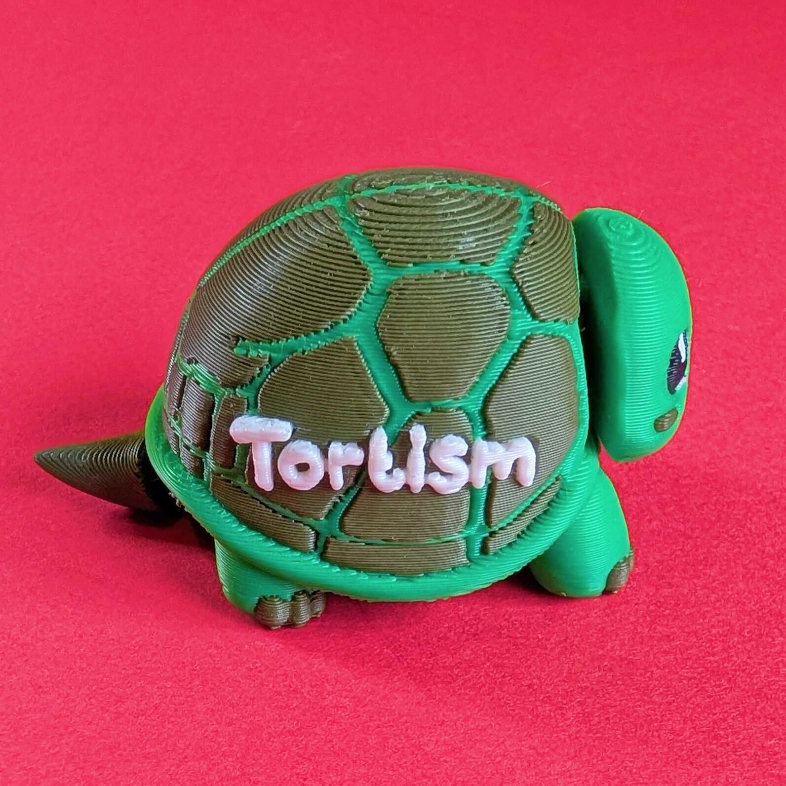 Rear view of green 3D printed tortoise fidget toy showing raised Tortism lettering on the shell. Tortism Tortoise Desk Buddy by Innabox, a sensory desk companion for autistic people and those with hidden disabilities, photographed on a bright pink background.