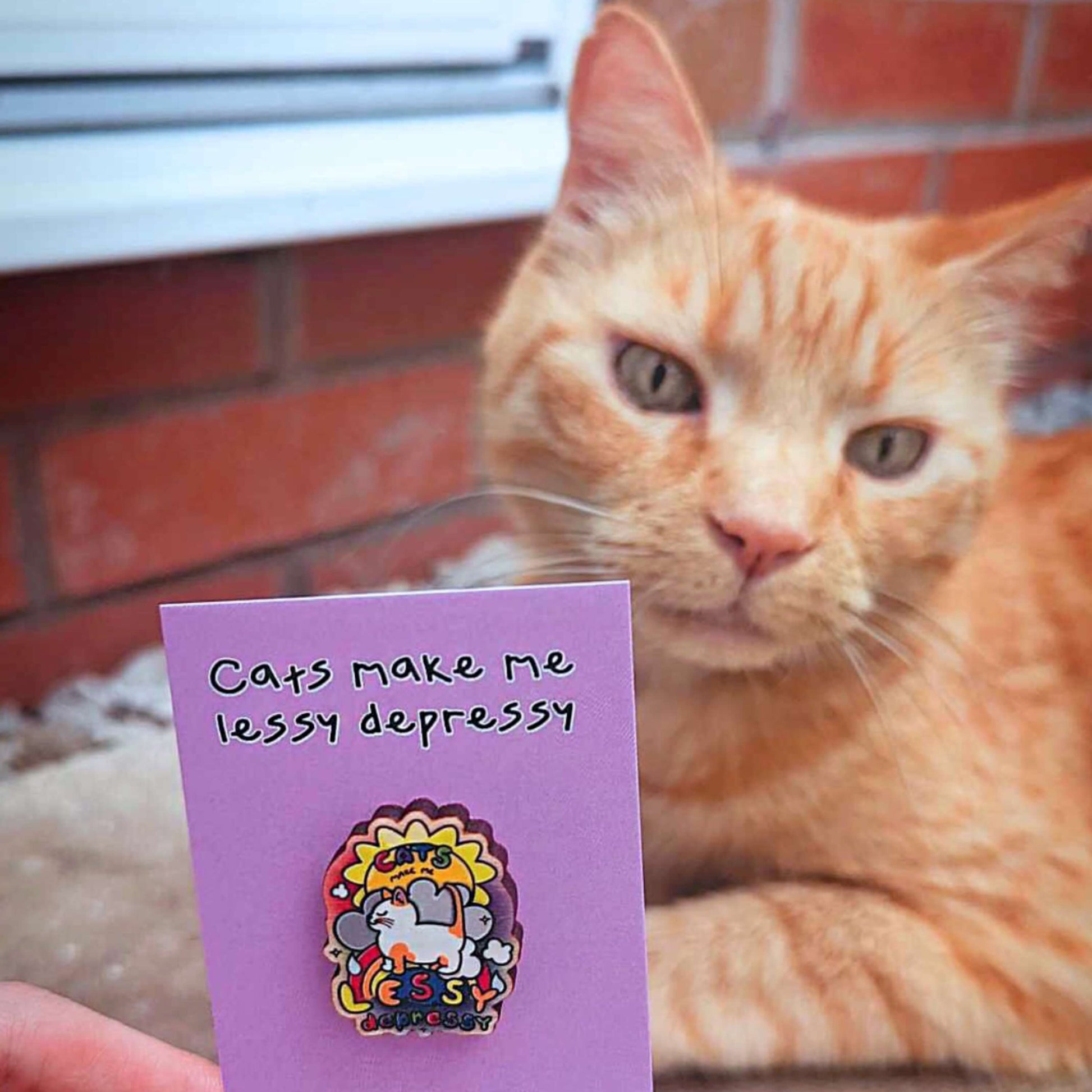 The Cats Make Me Lessy Depressy Wooden Pin Badge on pink backing card being held next to an orange cat looking to camera. The wooden pin features a smiling orange and white cat with a sunshine, raincloud and rainbow, in rainbow text across this reads 'cats make me lessy depressy'. Hand drawn design to raise awareness for mental health and depression.