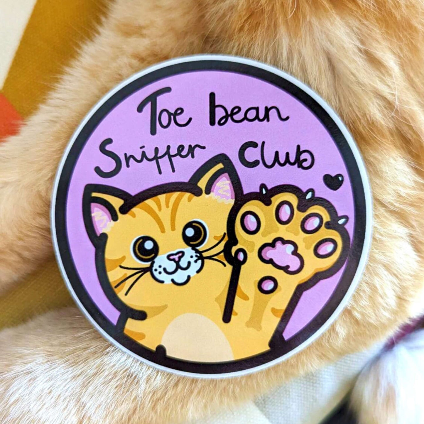 The Toe Bean Sniffer Club Sticker laying on an orange cat. The pastel pink circular sticker has a black outline and black text reading 'toe bean sniffer club' with a smiling orange cat raising a paw with a black heart.