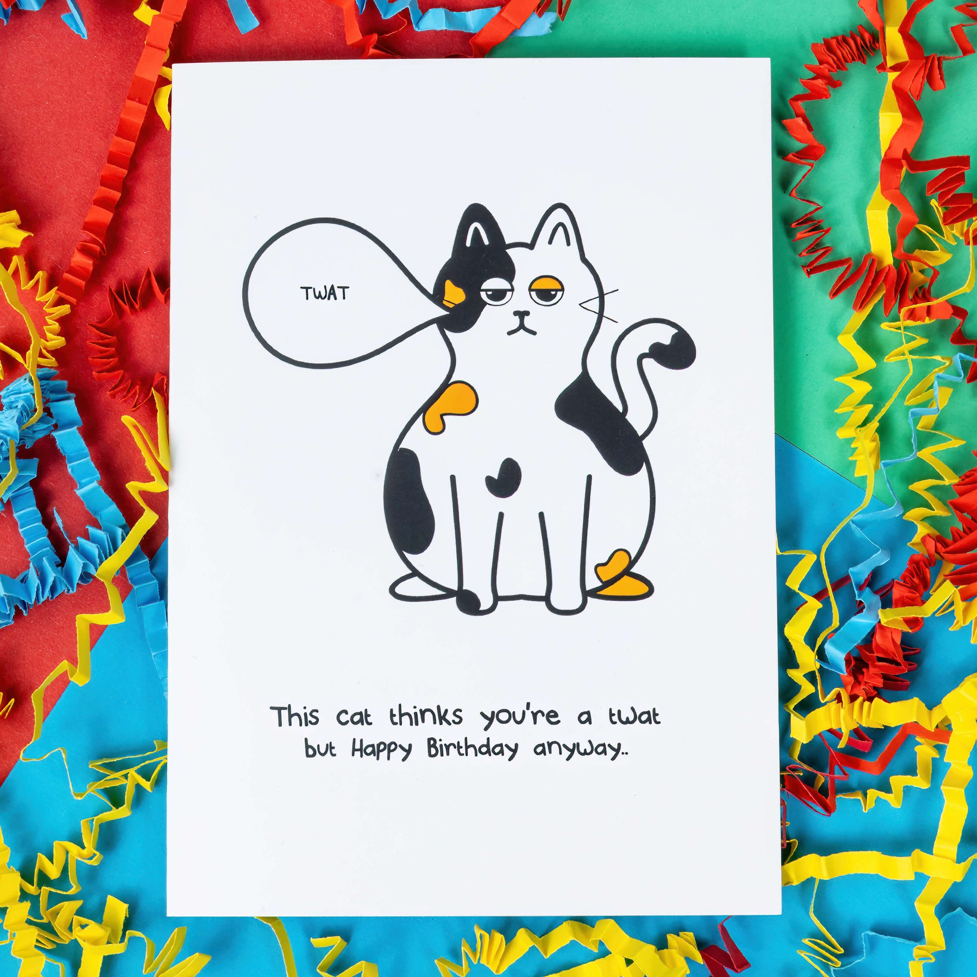 A white a6 card with a tortoiseshell cat drawn on the front looking unimpressed with a speech bubble saying, twat. There is text underneath that says, this cat thinks you're a twat but happy birthday anyway. The birthday card is on a red, blue and green background with yellow, red and blue crinkle card confetti.