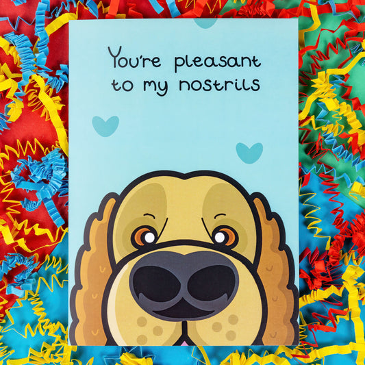You're Pleasant To My Nostrils - Dog Card on a red, blue and green background with coloured card confetti. The blue card has darker blue love hearts and a close up of a dog's face at the bottom looking like it is sniffing. There is black text at the top of the card that reads 'you're pleasant to my nostrils'.